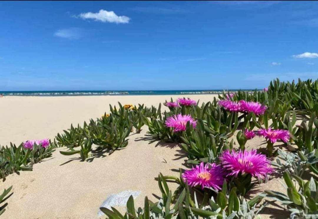 Appartement Con Giardino Pescara